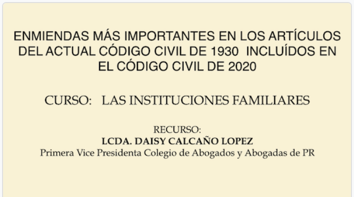 Nuevo Código Civil: Instituciones Familiares